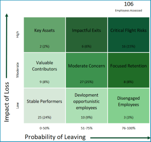Flight Risk Management Excel Template
