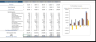 Online Flower Shop Financial Model
