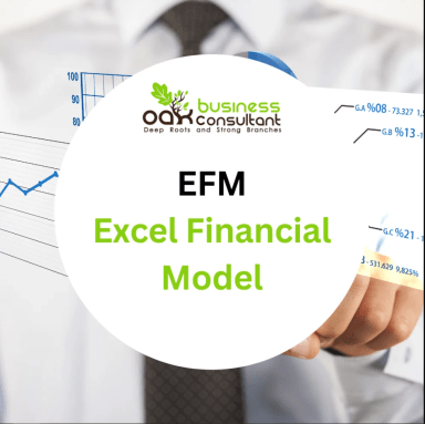 EFM Excel Financial Model Template