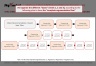 McKinsey's Minto Pyramid Principle Template