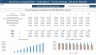 Business Valuations made easy for Unlisted Business. Automated Cash Flow, NPV, IRR, MIRR with PE Ratio