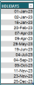 Resource Capacity Planner Lite – Excel Template