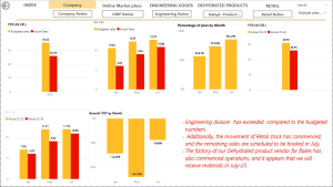 Power BI Dash Board  For Monthly MIS