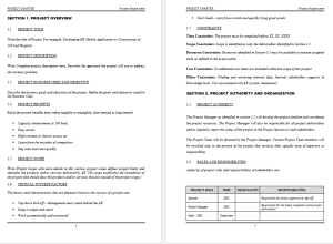 Professional Project Charter Document - Ready to fill information