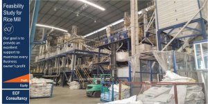 Financial Feasibility Study - Rice Mill