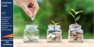 Financial Feasibility Study - Investment Funds