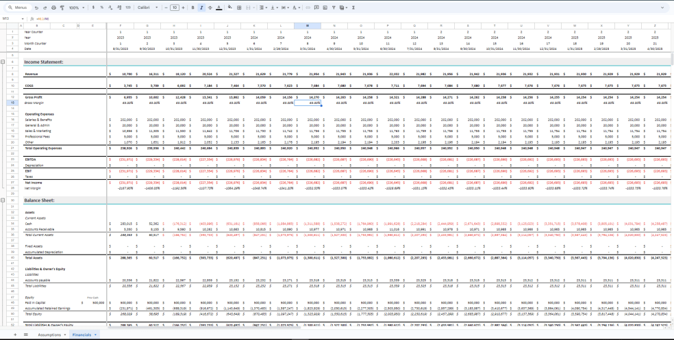 Marketplace Financial Template - Eloquens