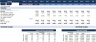 Financial Feasibility Study – Excavation Contractor