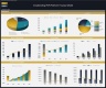 Crowdlending (P2P) Platform - 5 Year Financial Model