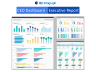 CEO Dashboard Package