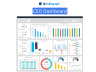 CEO Dashboard Package