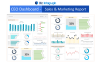CEO Dashboard Package