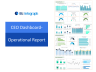 CEO Dashboard Package
