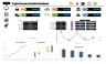 Cryptocurrency Portfolio Dashboard in Microsoft Excel