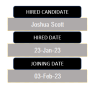 Recruitment Tracker 2024: Excel Template
