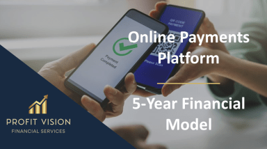 Online Payments Platform – 5 Year Financial Model