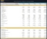 Online Payments Platform – 5 Year Financial Model