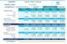 Financial Plan template for business excel | Budget Plan