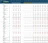 Wellness Centre 5-Year 3 Statement Financial Projection Model