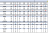 Hotel Daily Revenue Report
