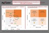 Bain's Leadership Mindsets and Behaviors Matrix Model Template