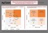 Bain's Leadership Mindsets and Behaviors Matrix Model Template