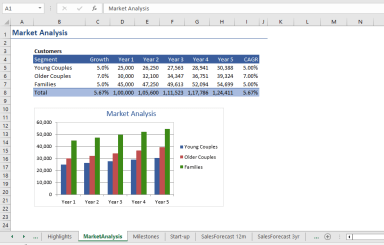 Business Plan & Financial Analysis