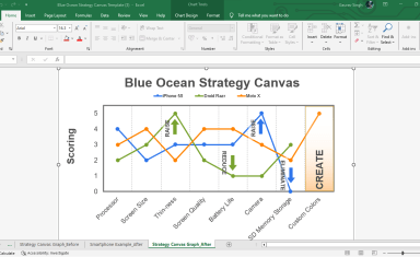 Blue Ocean Strategy Framework