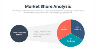 Market Share Analysis
