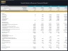 Social Media Influencer - 5 Year Financial Model