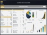 Social Media Influencer - 5 Year Financial Model