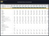 Social Media Influencer - 5 Year Financial Model