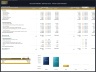 Social Media Influencer - 5 Year Financial Model