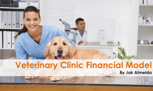 Veterinary Clinic Financial Model and Budget Control Template