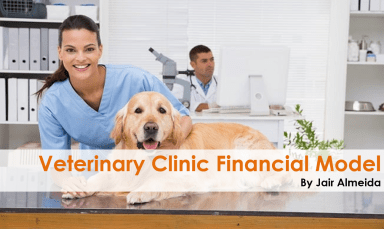 Veterinary Clinic Financial Model and Budget Control - Google Sheets