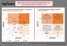 Bain's Initiative Rollout Model Matrix Template