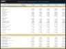 Microfinance Platform – 5 Year Financial Model
