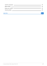 Limousine Business Plan - Page 4