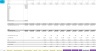Freemium Model with CaC Payback - 5 Year Forecast