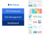 CEO Dashboard Package