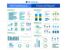 CEO Dashboard Package
