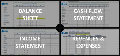 Startup Excel Accounting System with Auto Generated Reports