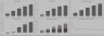 Property Management Business: Forecasting Template