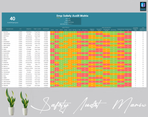 Employees HSE Audit Template