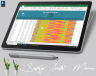 Employees HSE Audit Template