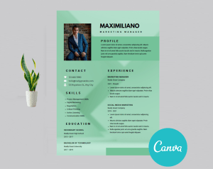 Modern Resume