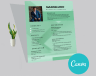 Modern Resume