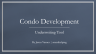 Advanced Condo Development ROI Predictor