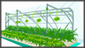Hydroponics: Unit Economics Analysis Model