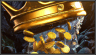 Royalty Licensing Model